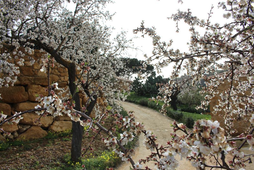 Agriturismo Feudo Muxarello Aragona Dış mekan fotoğraf