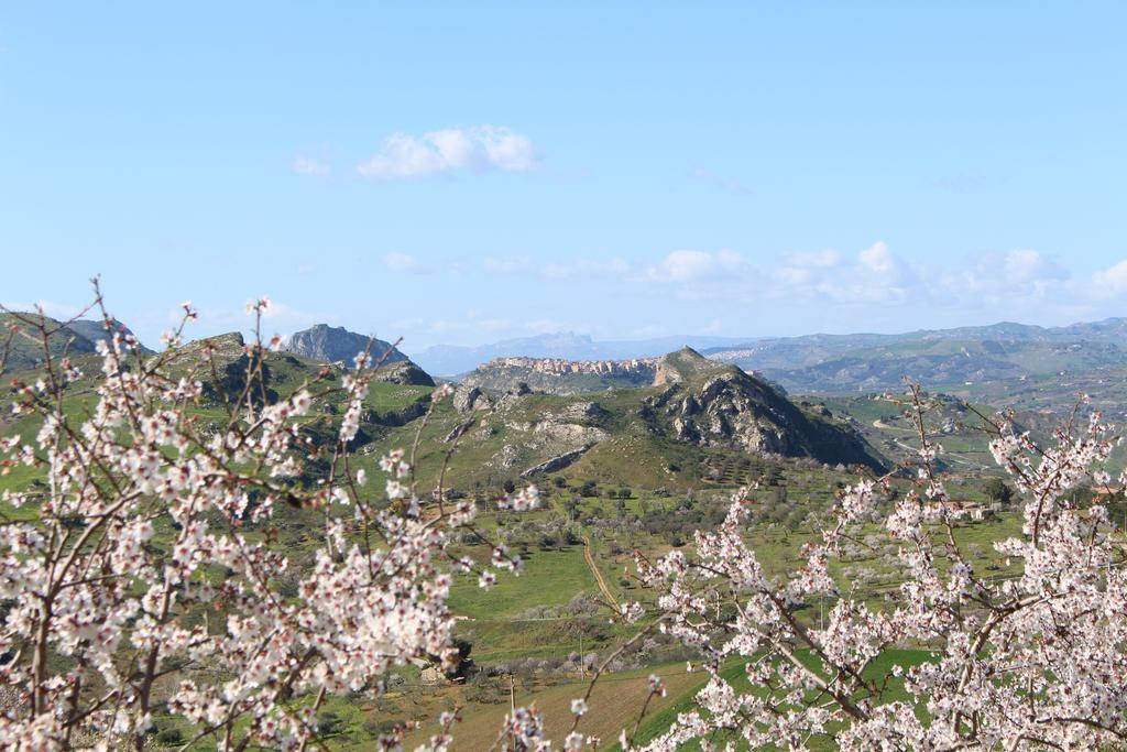Agriturismo Feudo Muxarello Aragona Dış mekan fotoğraf