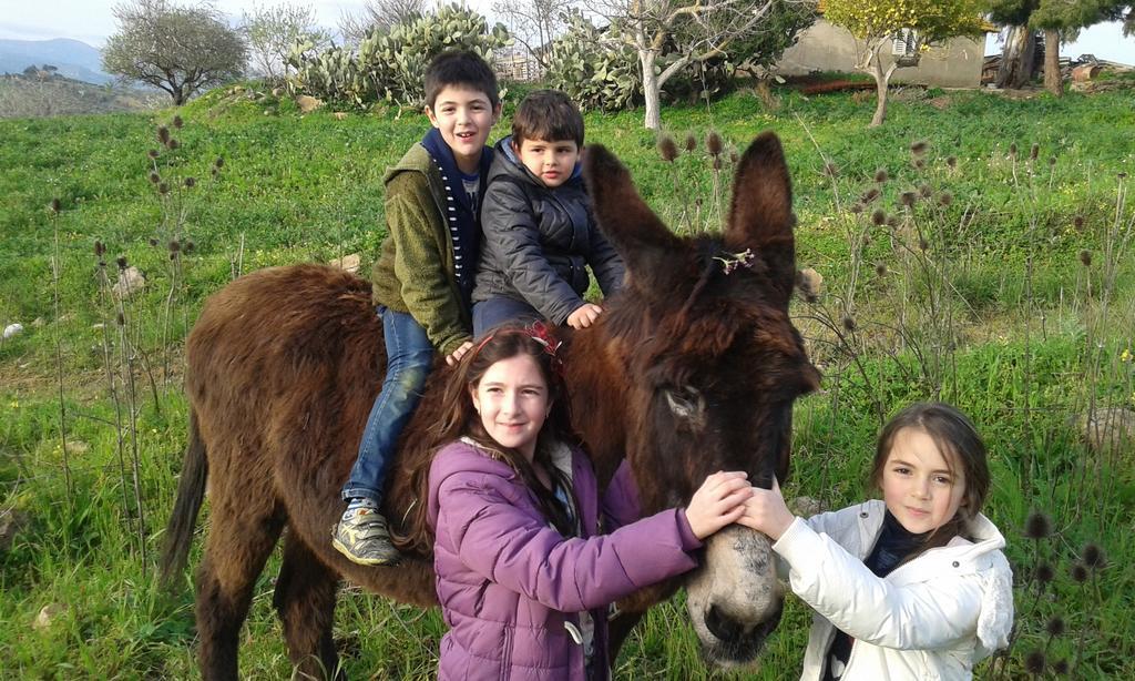 Agriturismo Feudo Muxarello Villa Aragona Dış mekan fotoğraf