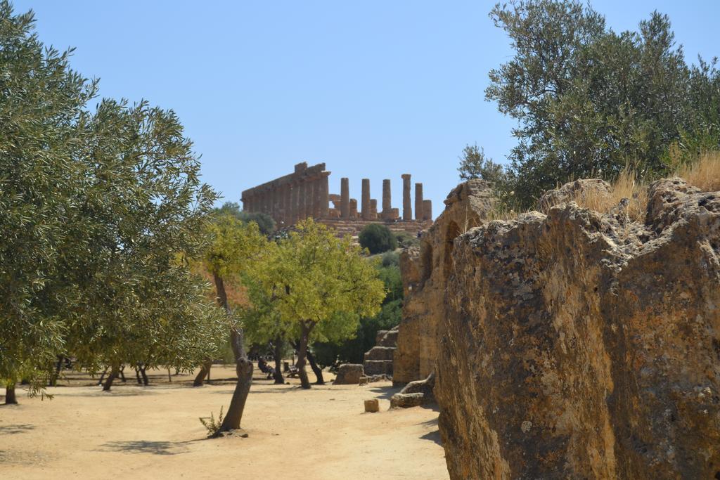 Agriturismo Feudo Muxarello Aragona Dış mekan fotoğraf